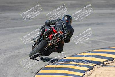 media/Feb-04-2024-SoCal Trackdays (Sun) [[91d6515b1d]]/4-Bowl Backside (11am)/